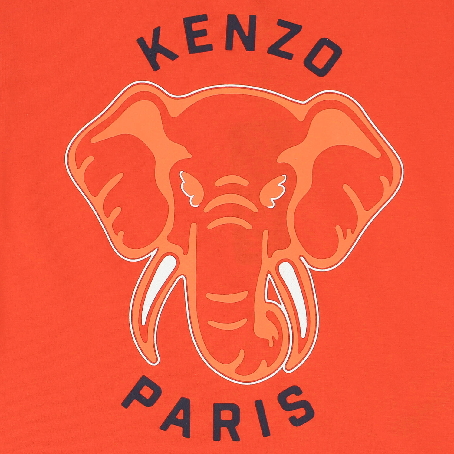 Girls Orange Elephant Logo T-Shirt, 2, hi-res image number null